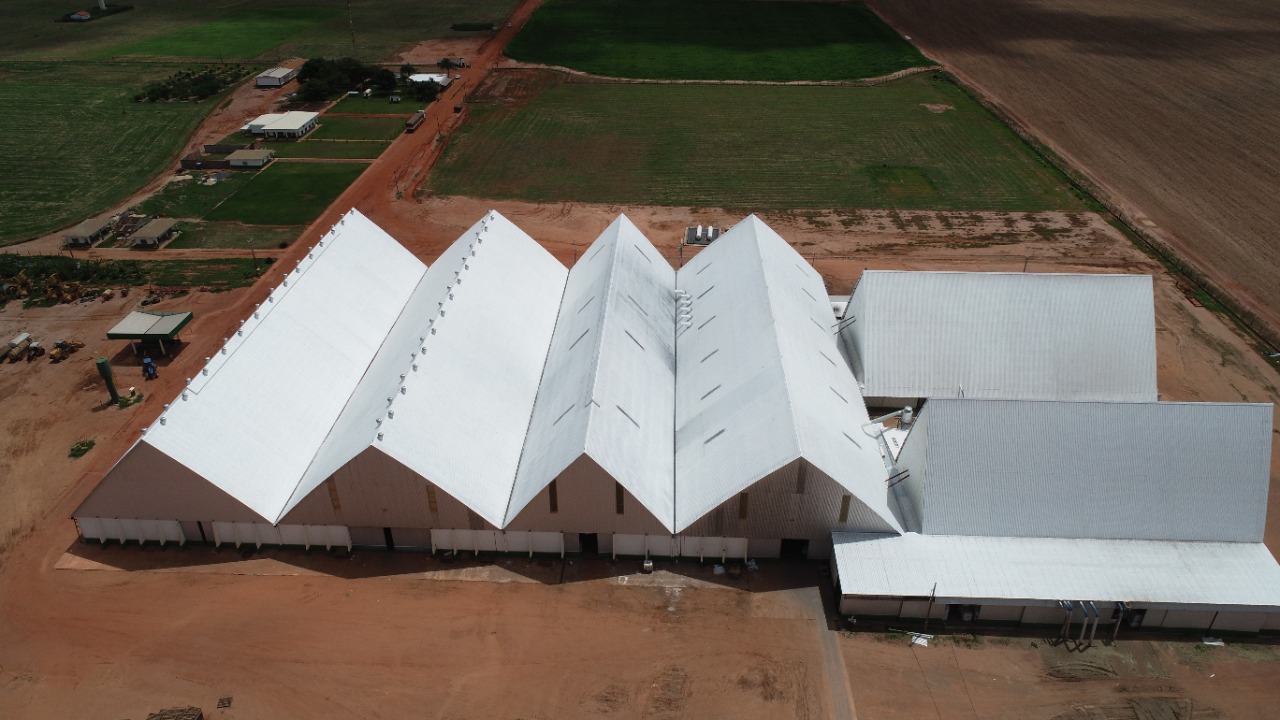 Sementes-Mineirao-CAPA (1)